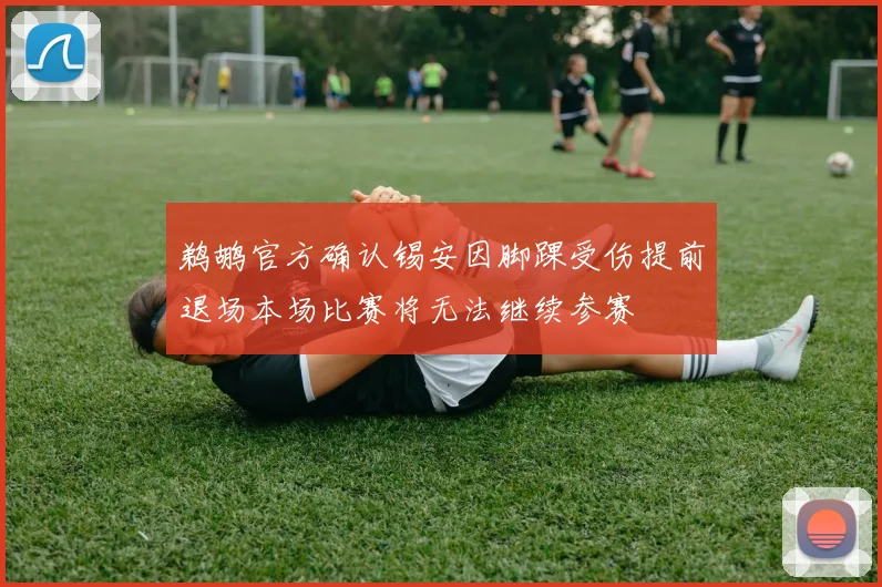 鹈鹕官方确认锡安因脚踝受伤提前退场本场比赛将无法继续参赛