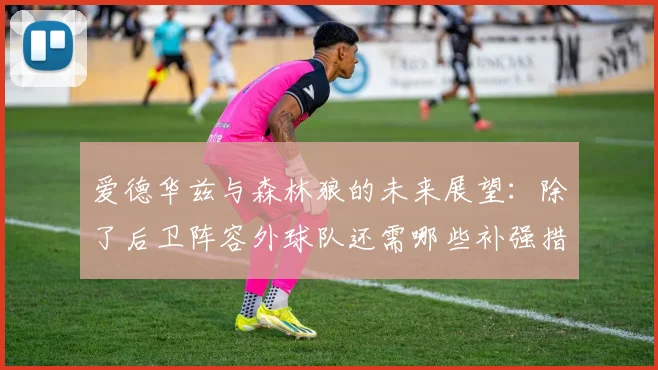 爱德华兹与森林狼的未来展望：除了后卫阵容外球队还需哪些补强措施